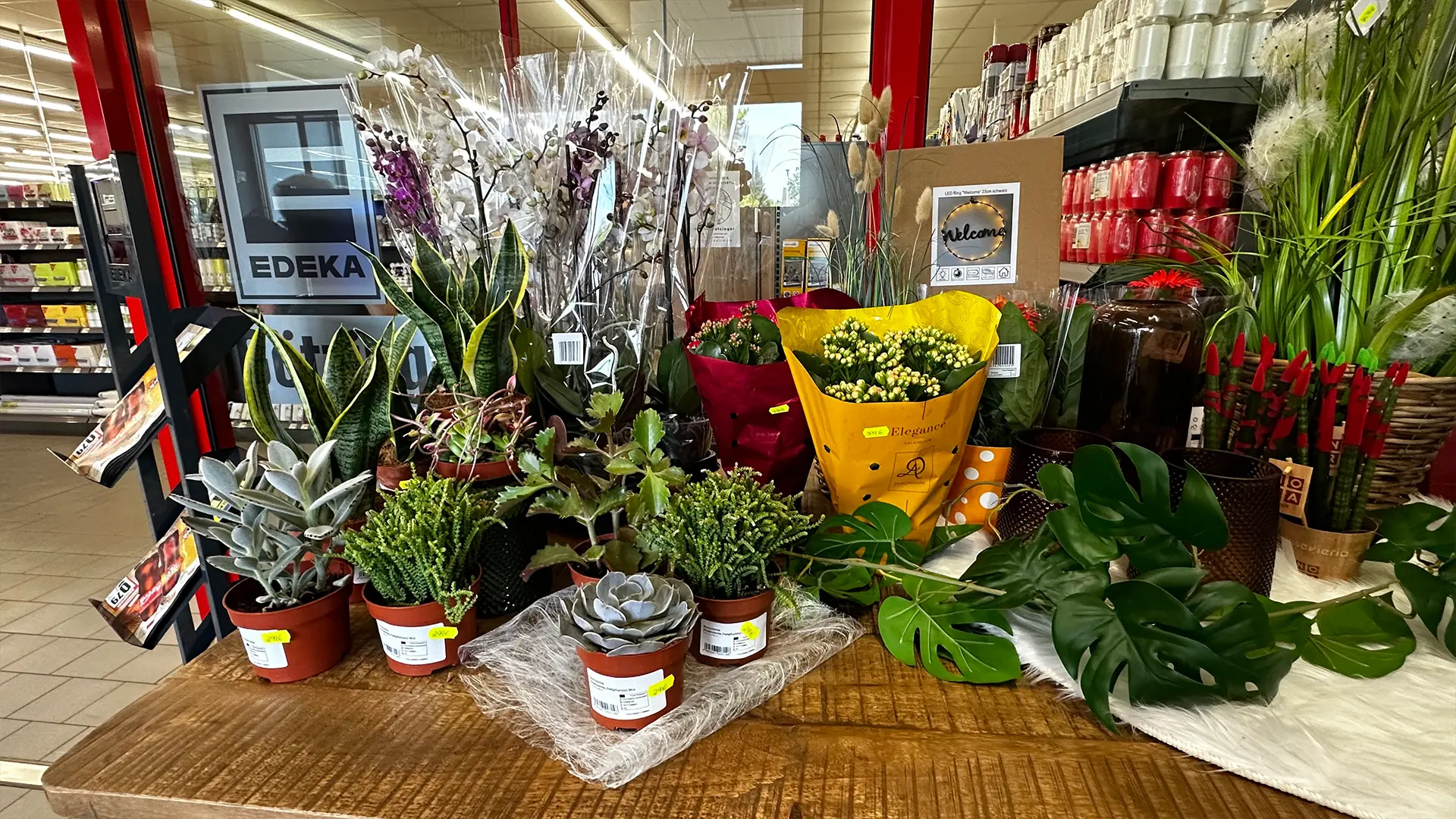 Blumen - EDEKA Linter Blumen - EDEKA Linter